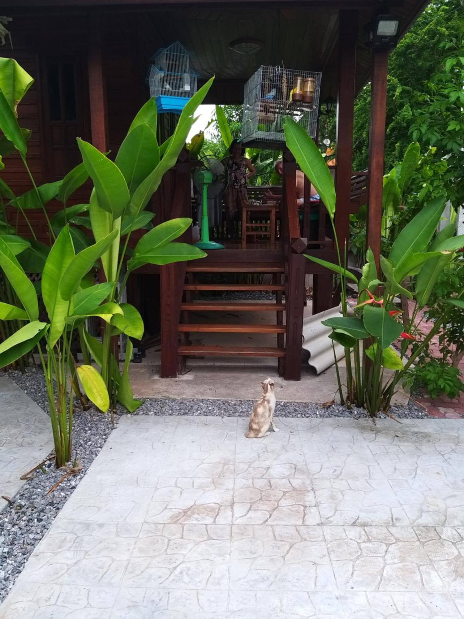 באן פה บ้านทะเลอิ่มเอม Bann Talay Im Eimm מראה חיצוני תמונה